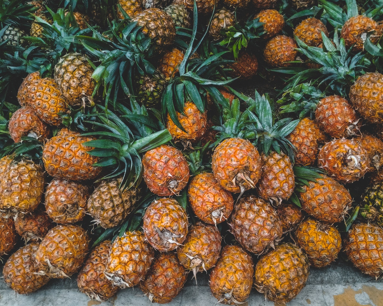 pexels-carlo-martin-alcordo-2469772