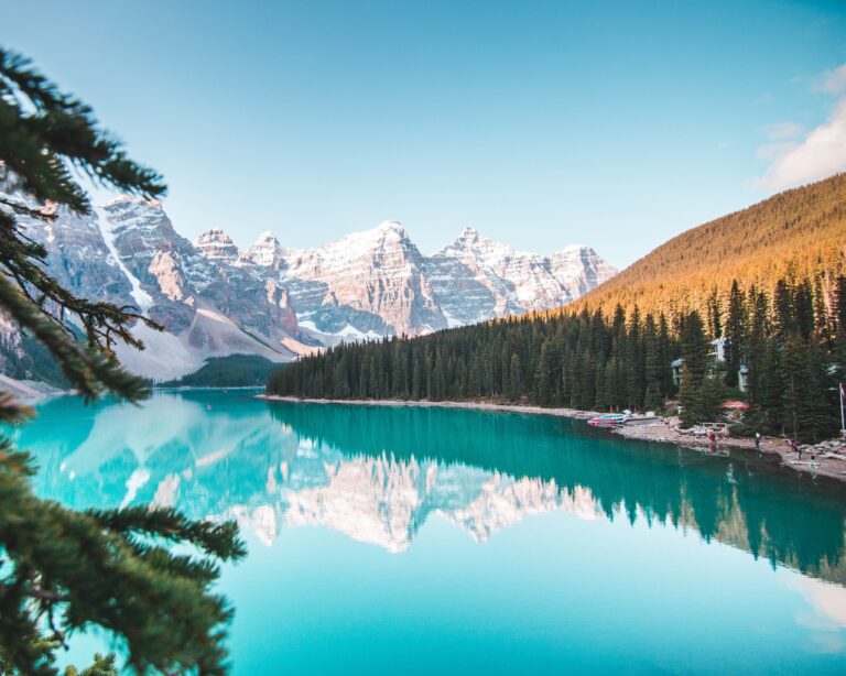 pexels-jaime-reimer-2662116